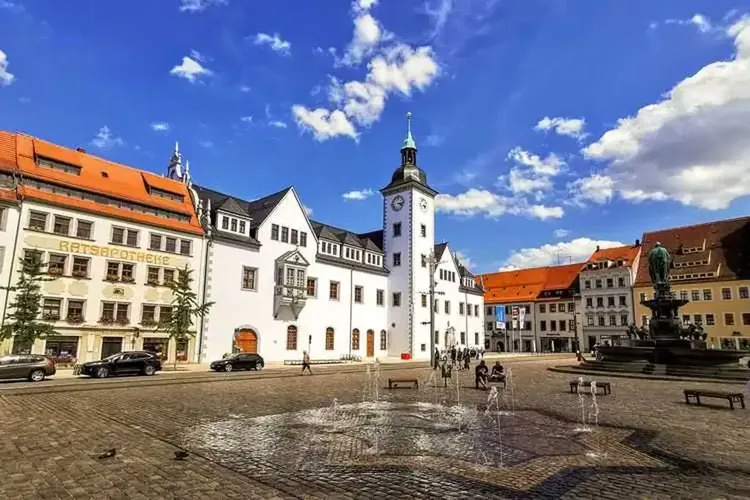 Single Freiberg