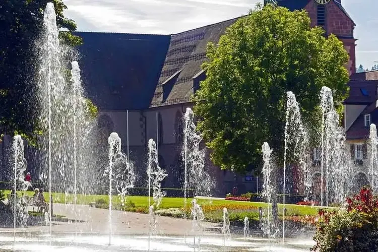 Sex Freudenstadt