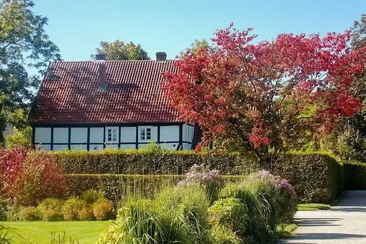 Sextreff Gütersloh
