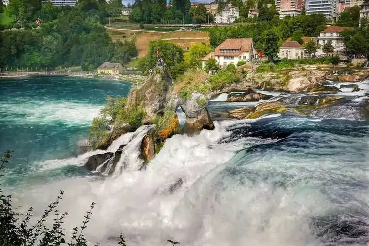 Single Schaffhausen
