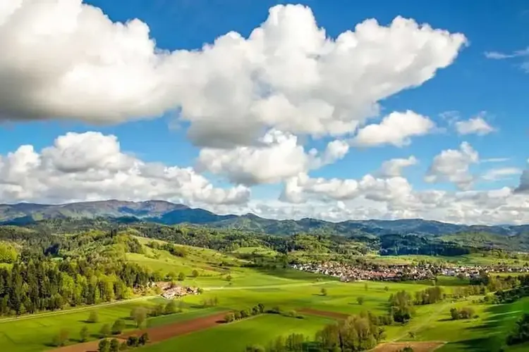 Sex Schwarzwald