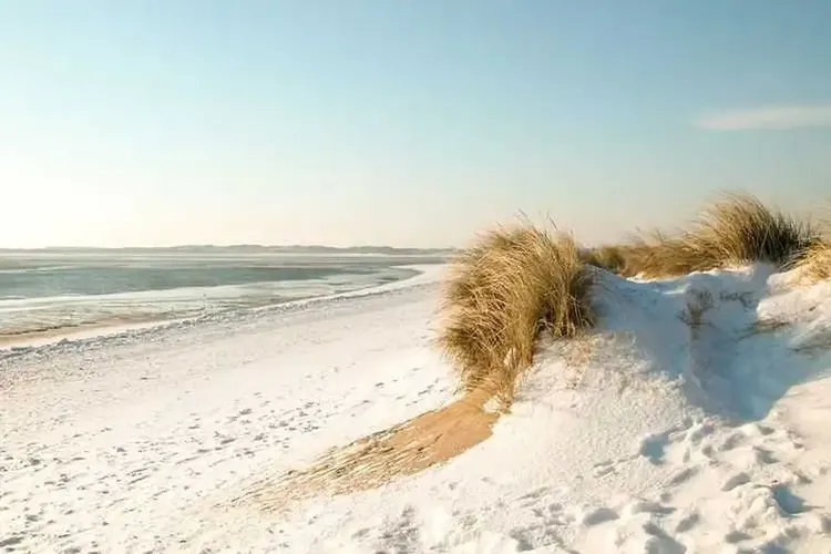 Sextreffen Sylt